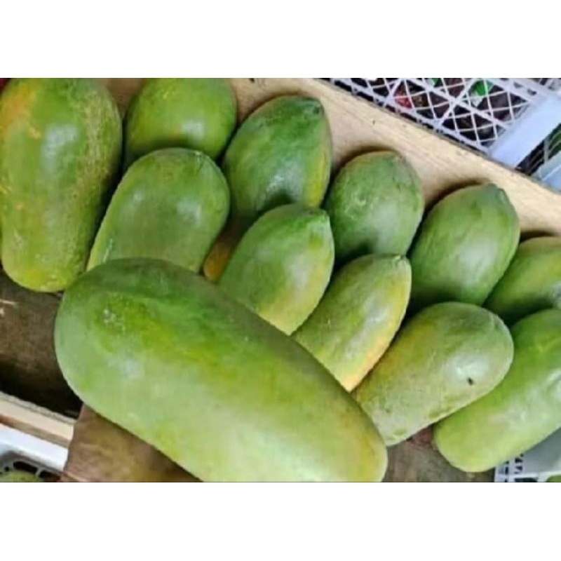 

Pepaya/Kates California