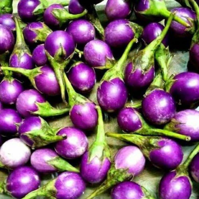 

Terong Lalap Ungu 500 gram