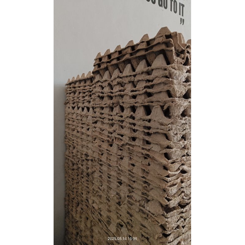 TRAY KARTON TELUR AYAM BEKAS 10 LEMBAR