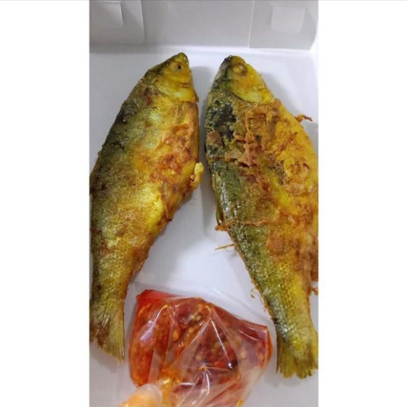 

Bandeng Presto Goreng Duri Lunak isi 2 Ekor dengan Sambal Spesial