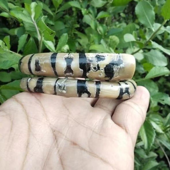 gelang akar Bahar asli batu Gringsing laut