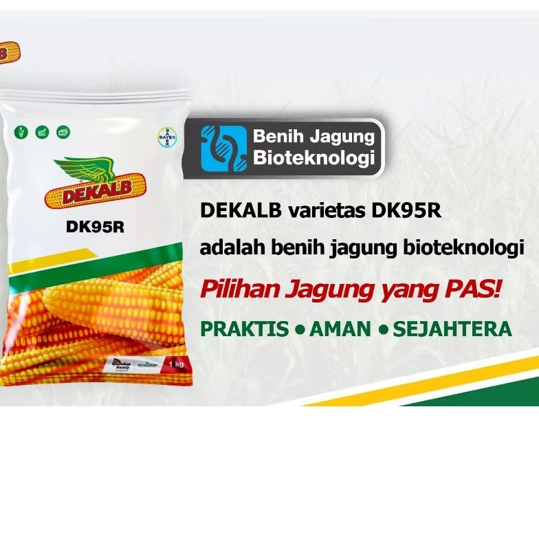 DEKALB DK95R Benih Jagung Teknologi Anti Roundup