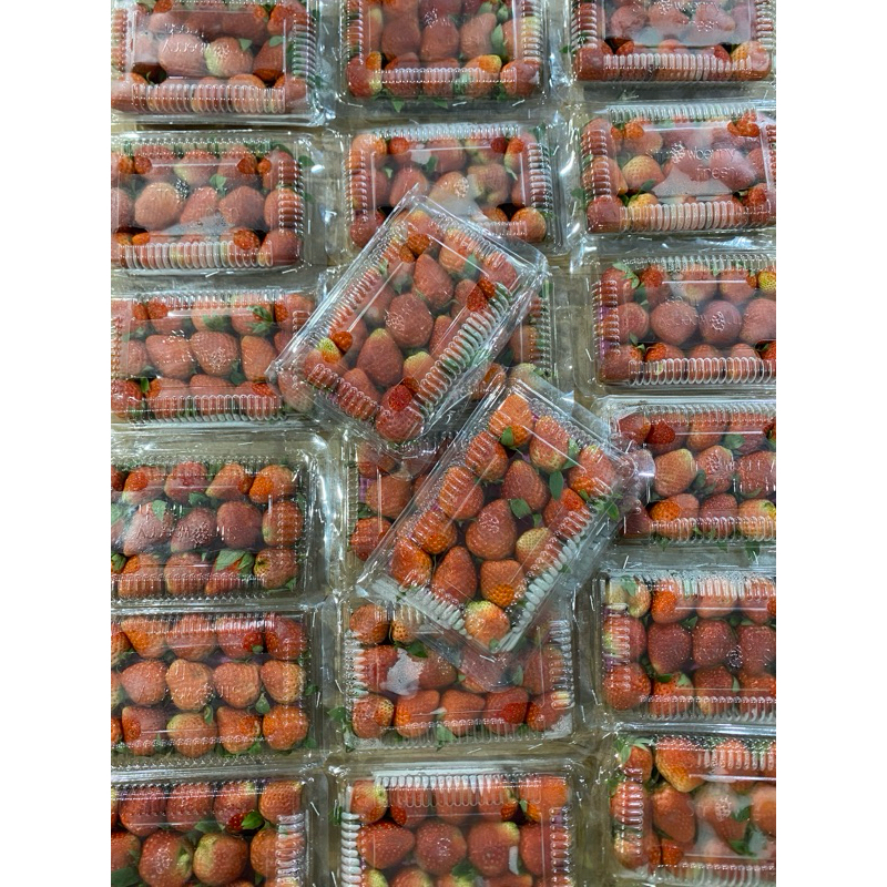 

Strawberry Lokal
