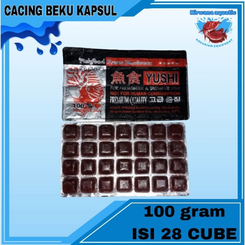 (INSTAN) CACING DARAH SEGAR BEKU KAPSUL YUSHI - BLOOD WORM CUBE PREMIUM QUALITY 100 gr