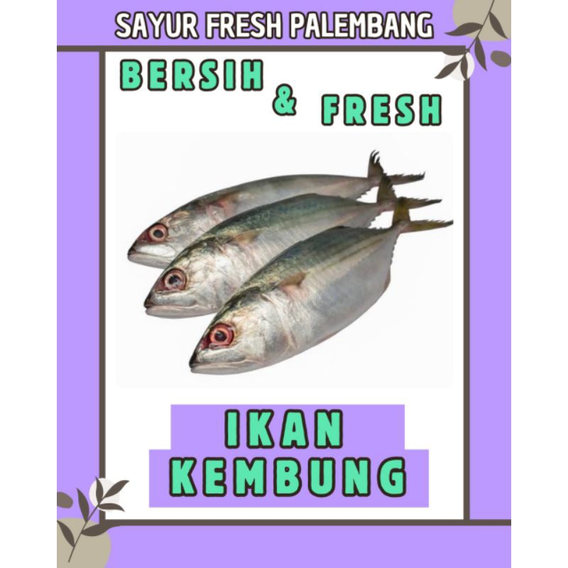 

IKAN KEMBUNG FRESH & BERSIH - PALEMBANG