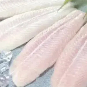 

ikan dori fillet frozen 500g