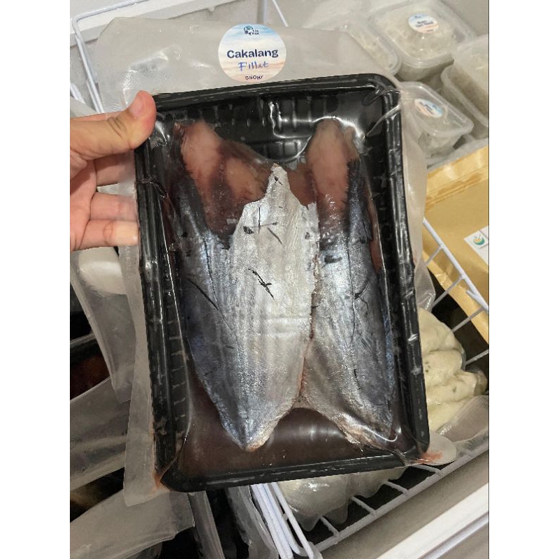 

Tsakha Fish - Cakalang Fillet