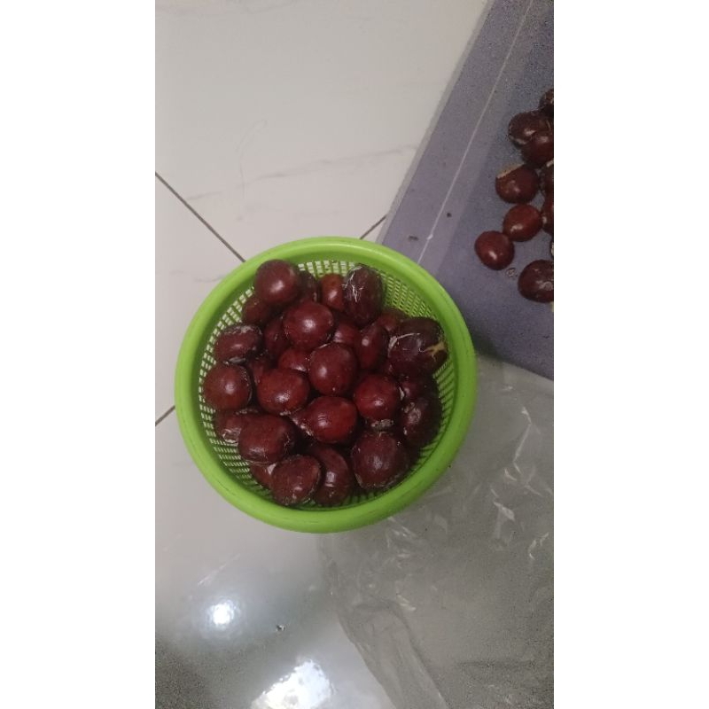 

jengkollampungmentah