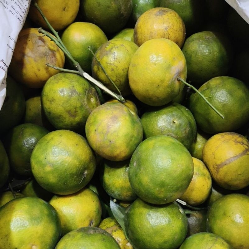 

Jeruk Madu Siem Malang Manis Segar
