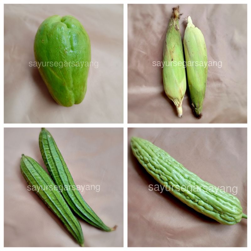 

Jagung Manis / Labu Siam / Oyong / Pare 500gr