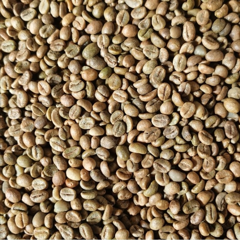 

Greenbean Biji Kopi Robusta Lampung Grade 1