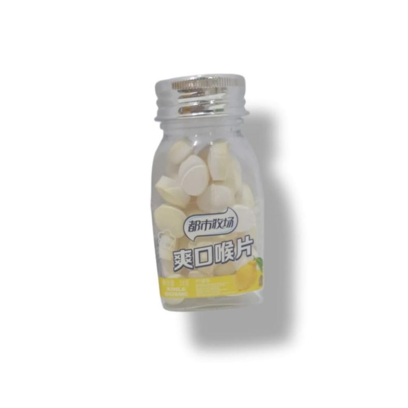 

XINLE PERMEN MINT LEMON 38 GRAM