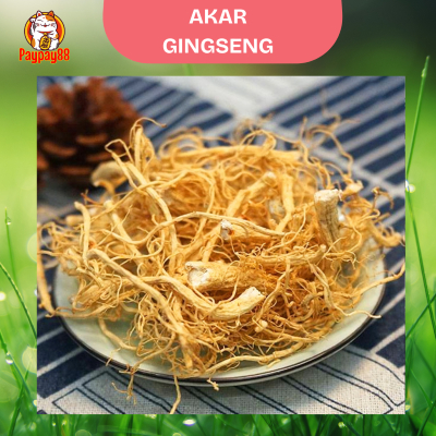 

AKAR GINGSENG PREMIUM / YANG SHEN XU / YONG SEM SI / GINGSENG ROOT 100 - 250 gram
