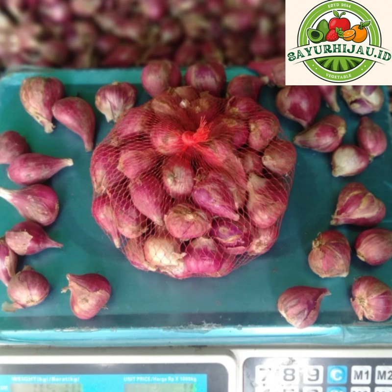

Sayur Murah - Bawang Merah 500gr MURAH