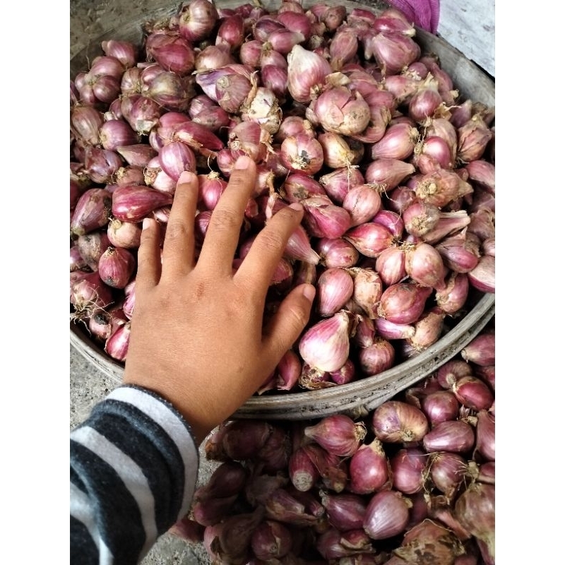 

bamer lokal 1kg