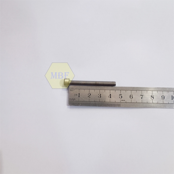 M5 x 45 Baut L Hex Head Socket Stainless 304 M5x45