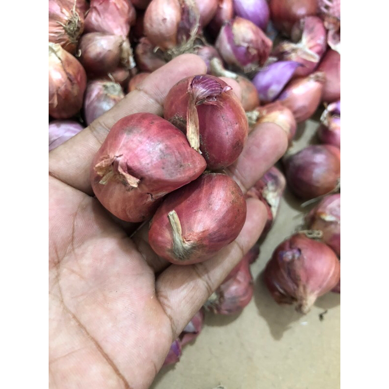 

Bawang Merah Campur Super 1 Kg Bawang Merah Local