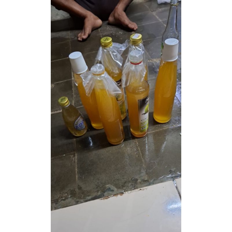 

Madu Lebah Odeng Alam Original bukan Ternak