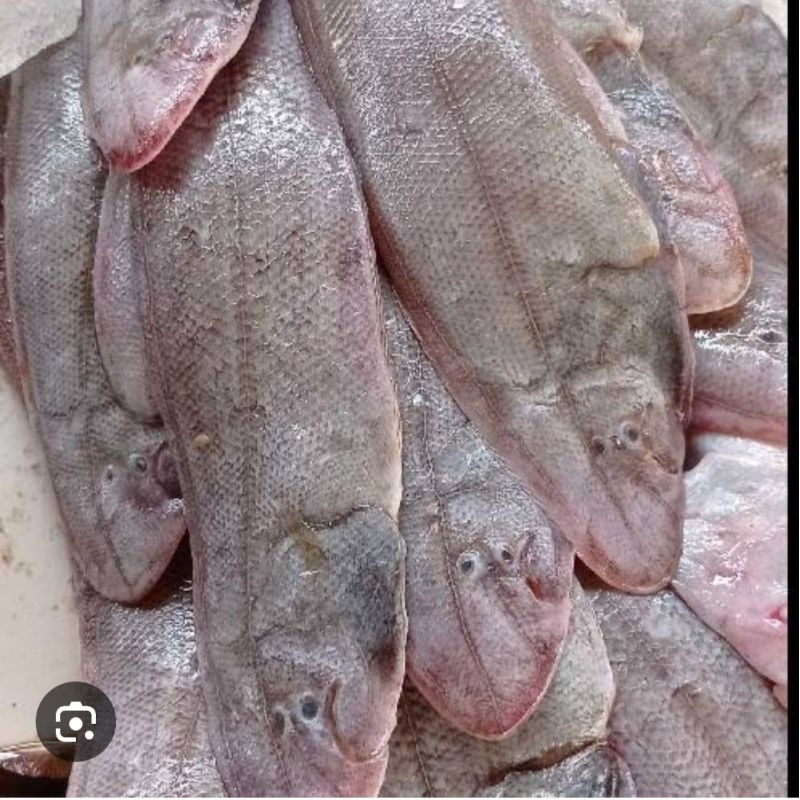 

IKAN LIDAH 1 KG ( JM 1 kosong)