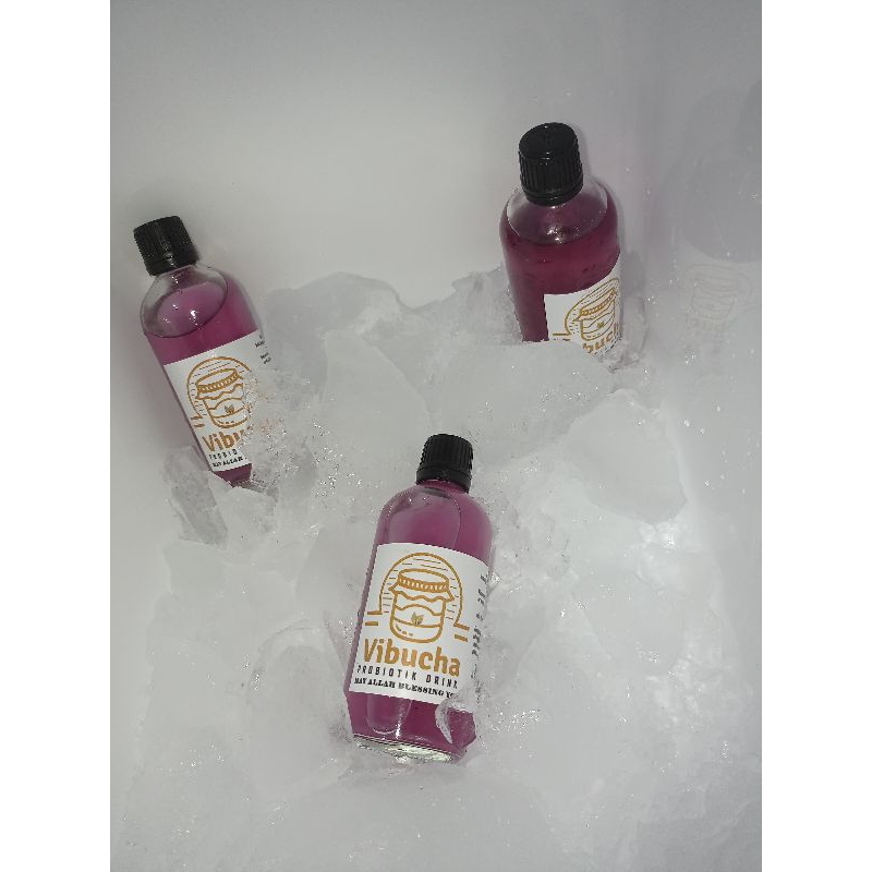 

kombucha telang
