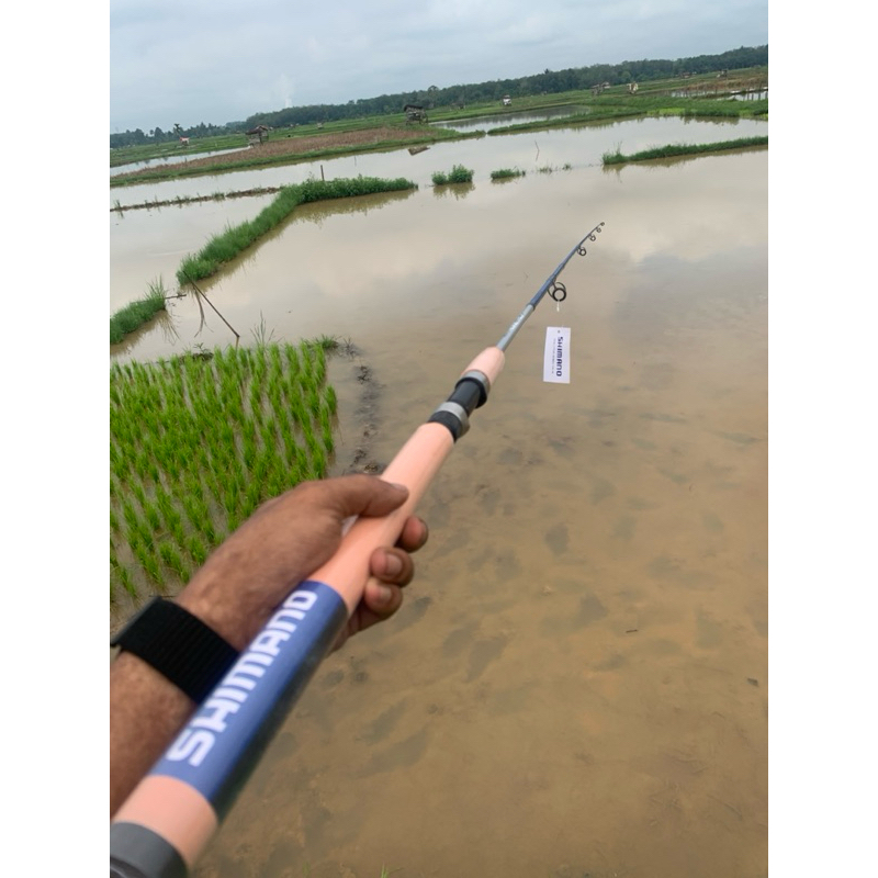 Joran pancing Shimano