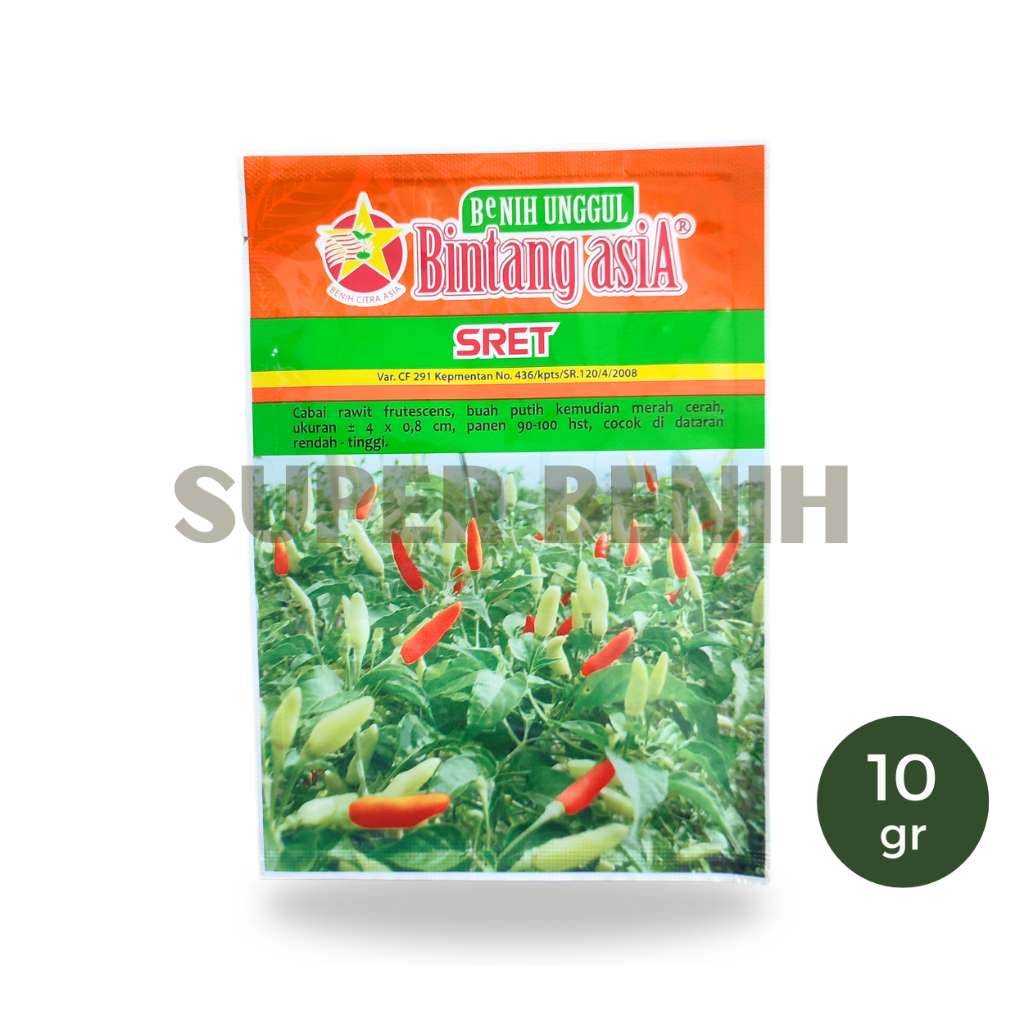 BENIH CABE RAWIT SRET 10 GRAM UNTUK DATARAN RENDAH BAGUS