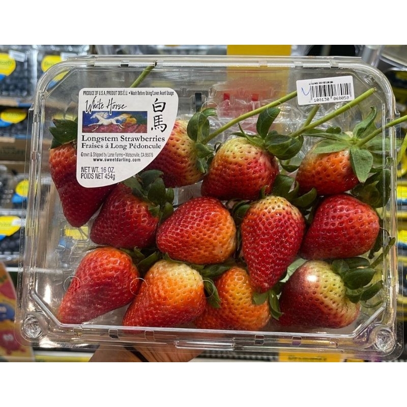 

Strawberry Usa Fresh Masih Ada Tangkai 1 Pack