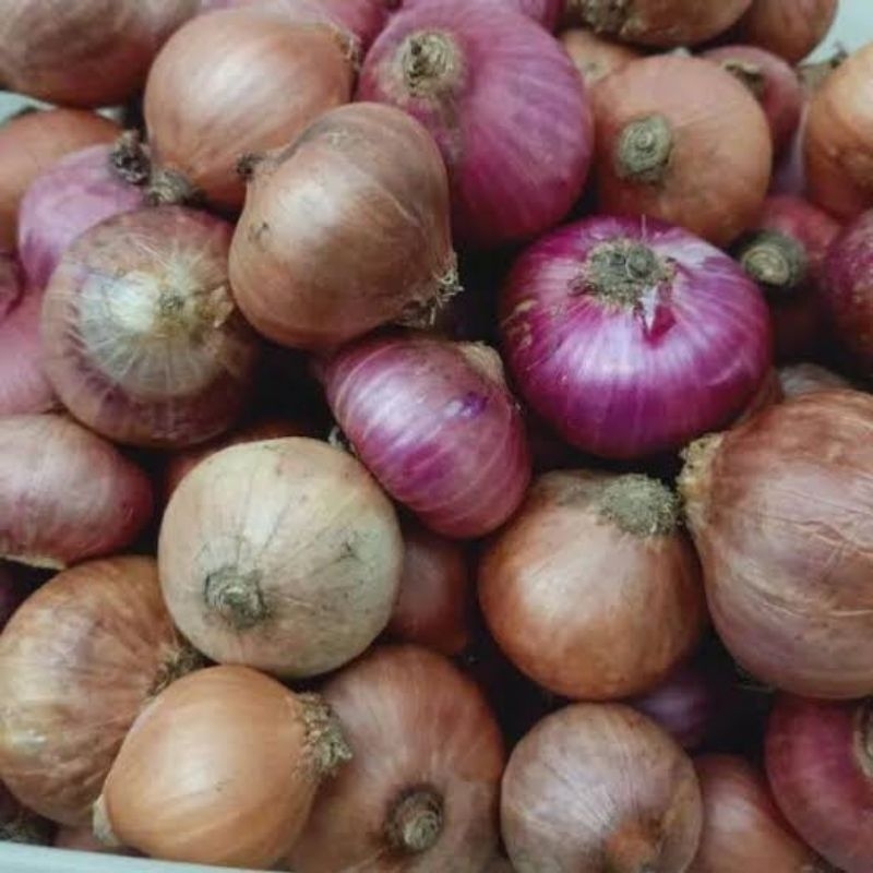 

250gr - Bawang Merah India Mirip Bombay / Bawang Merah Jumbo Import