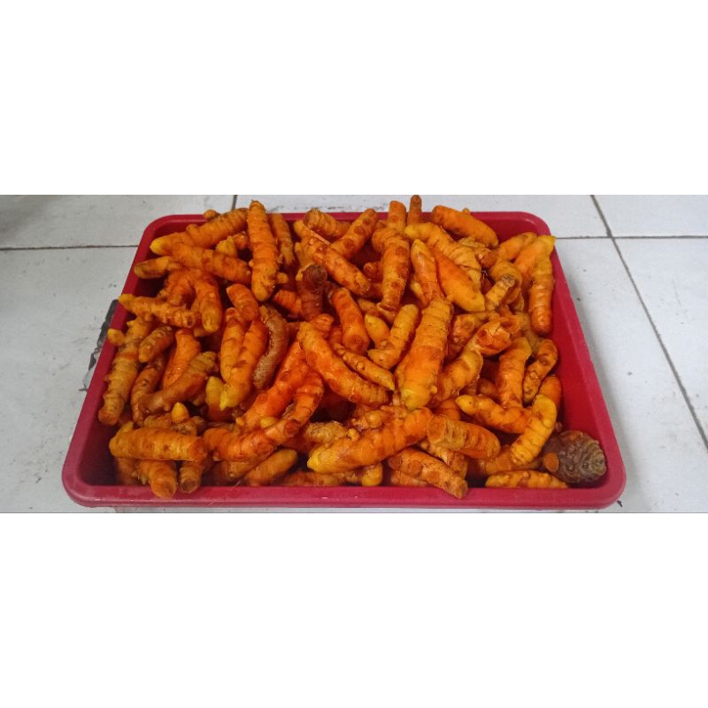 

Kunyit segar organik