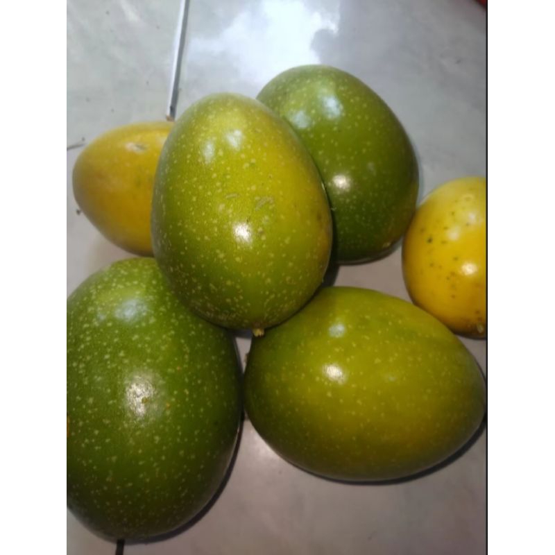 

Buah markisa segar