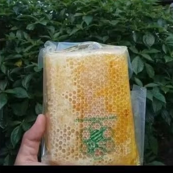 

Madu Sarang Murni Asli Mellifera 500gram