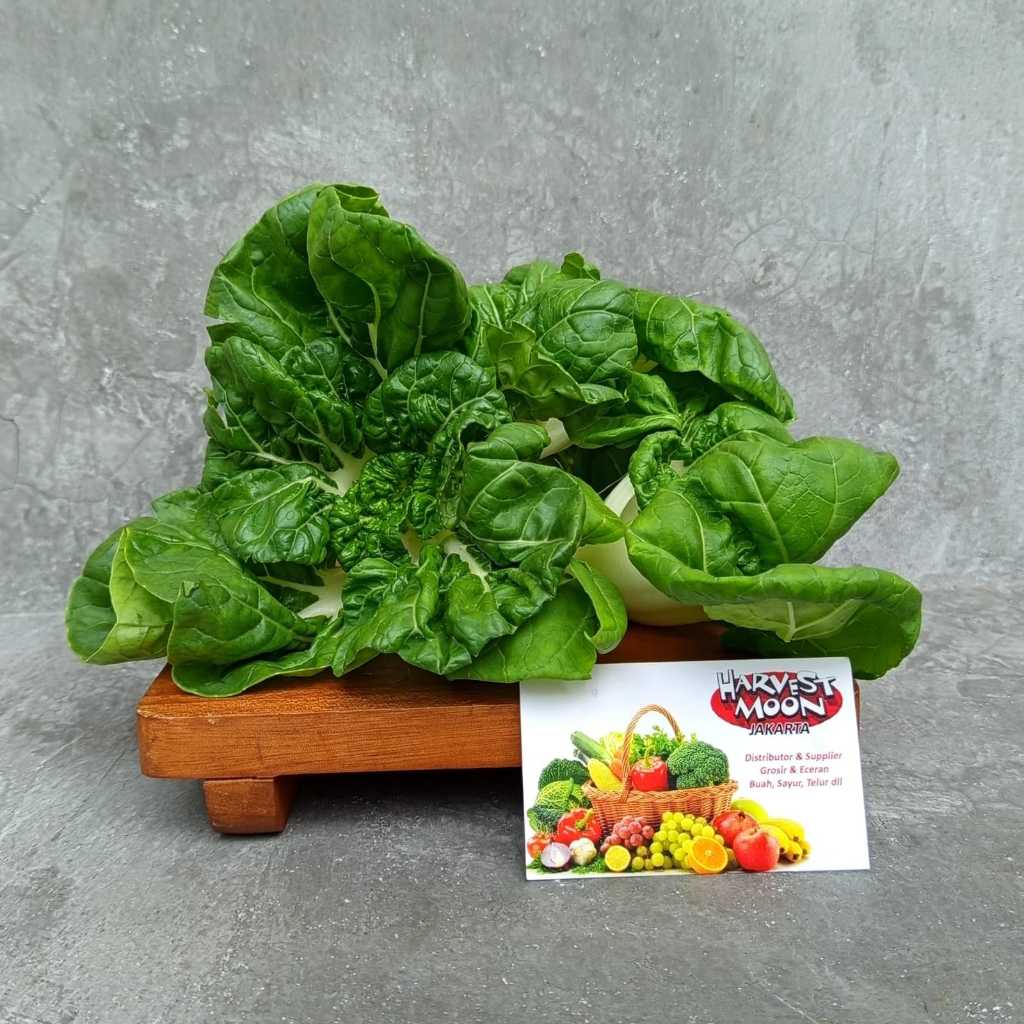 

HarvestMoon Hidroponik Mini Pakchoy Naibai @250gr