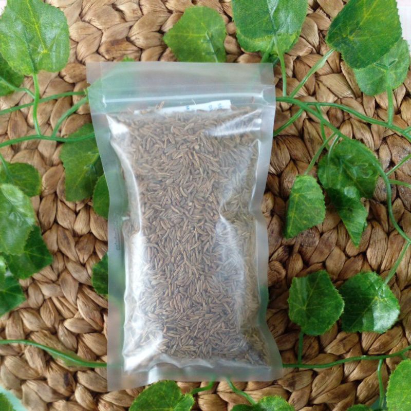 

Jinten 100gram | Kualitas Premium