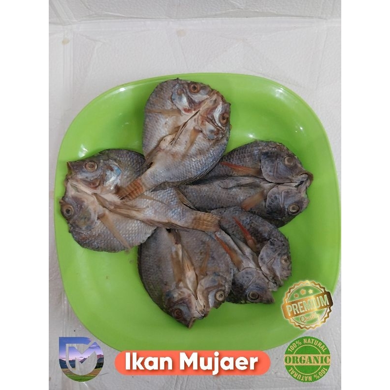 

Cahayadstore Ikan Mujaer Kering Asin