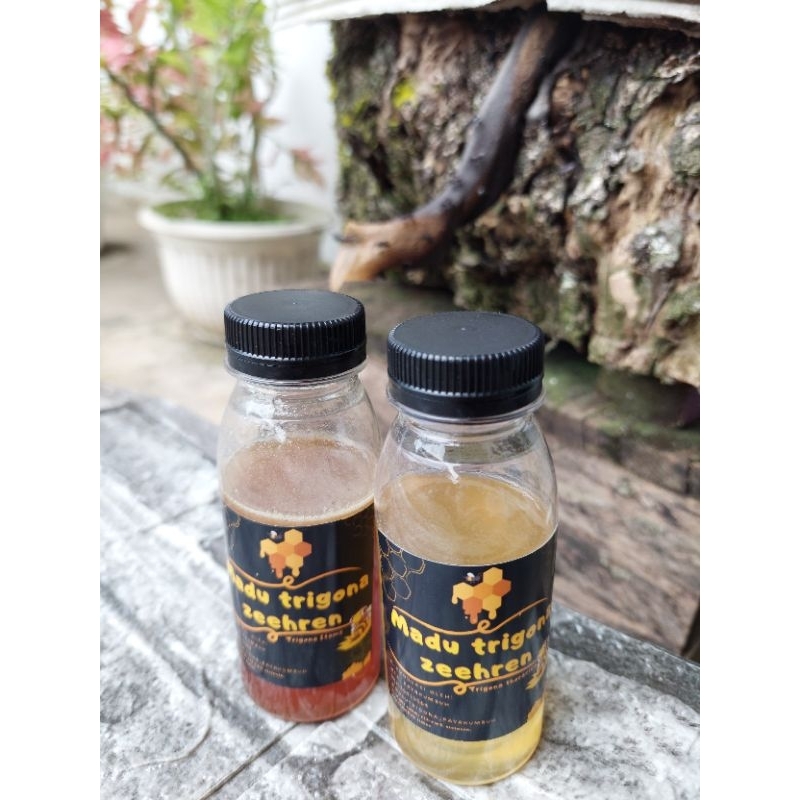 

madu kelulut/ madu galo galo/ madu klanceng/ madu trigona