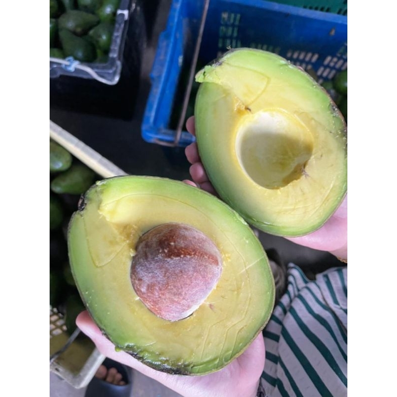 

Buah Alpukat Raja Mentega Jumbo 1 Kg