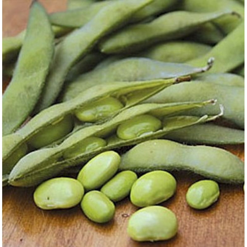 

BENIH/BIJI EDAMAME BESWEET (15 butir)