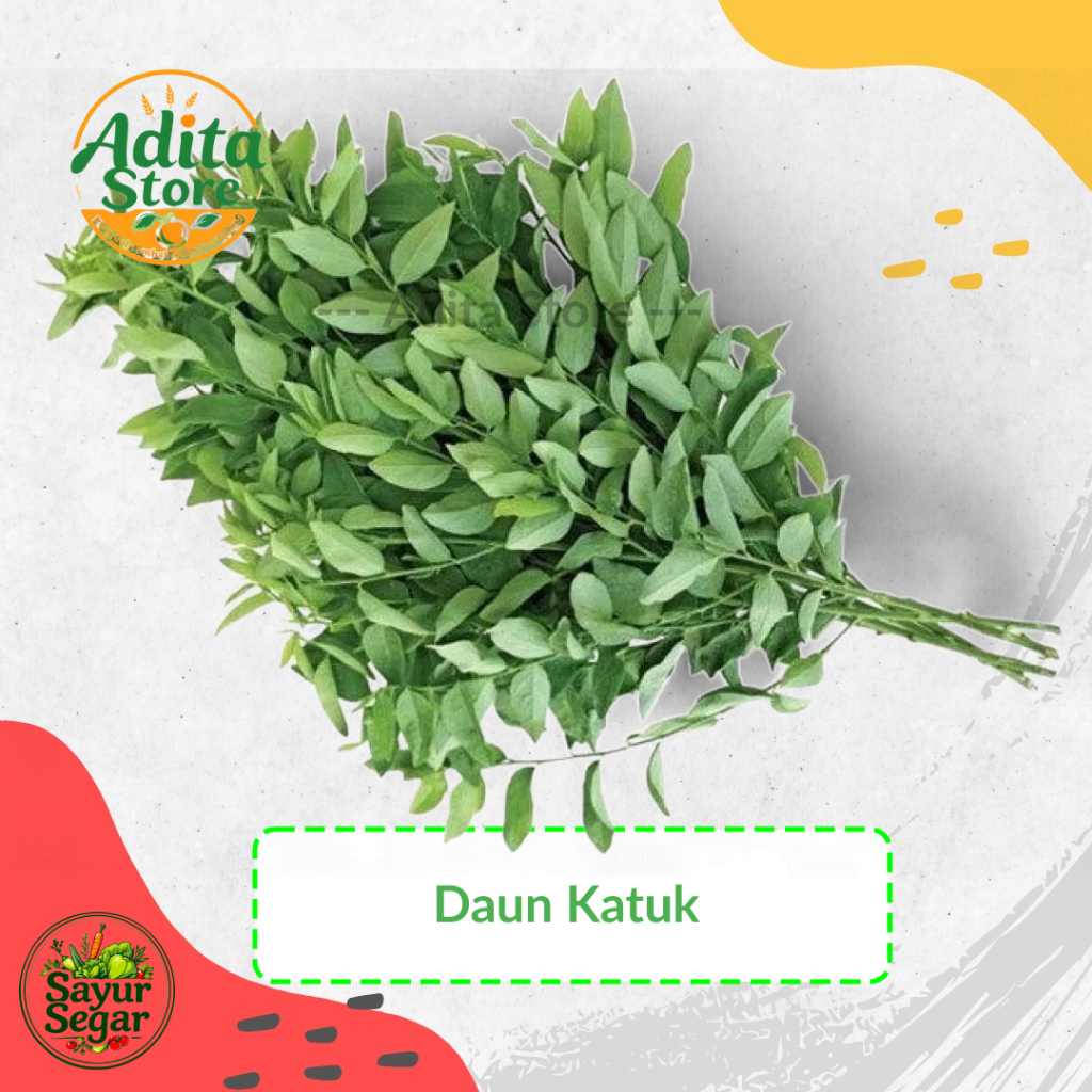

Daun Katuk Segar | Daun Katuk 1 ikat