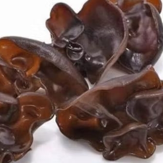 

Jamur Kuping 250 gram