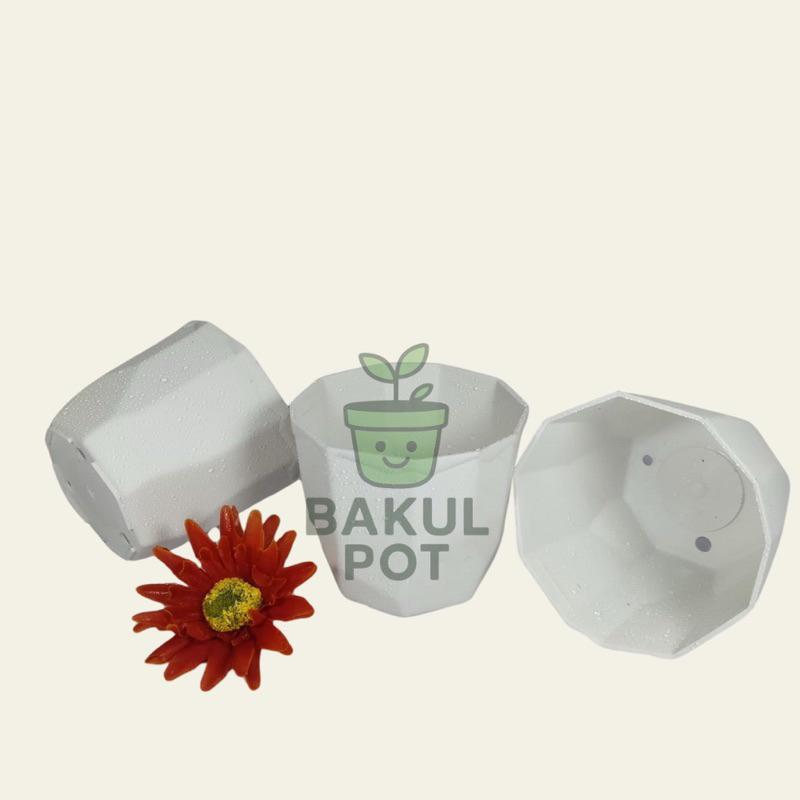 Pot permata putih 8cm pot kecil pot kaktus mungil cantik murah grosir