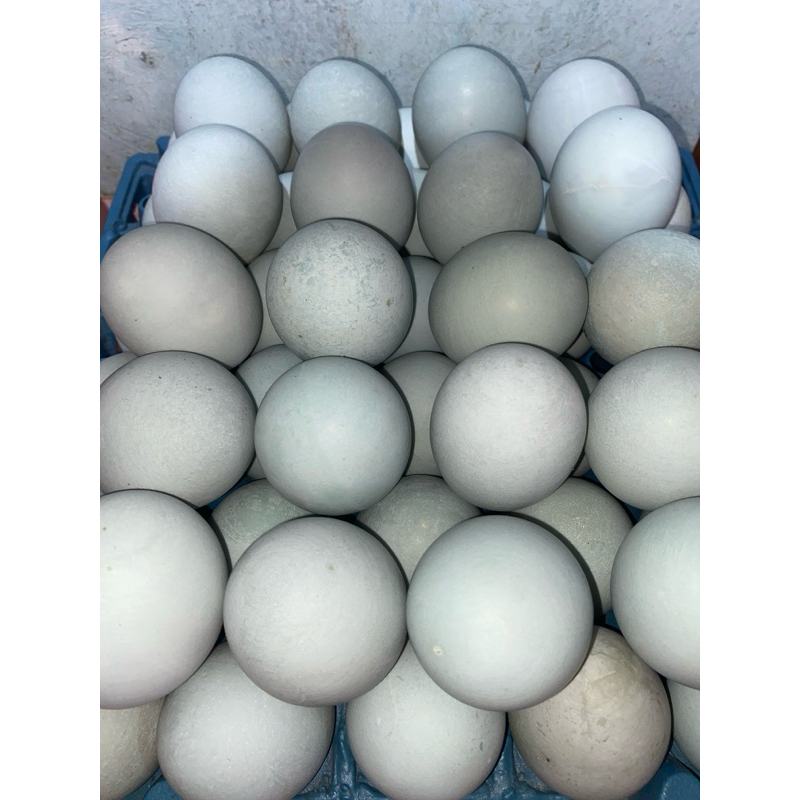 

TELUR ASIN isi 10 Masir
