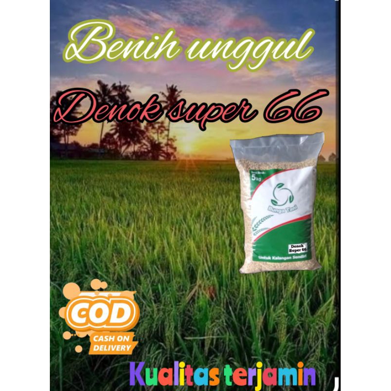 BENIH UNGGUL DENOK SUPER 66 5KG