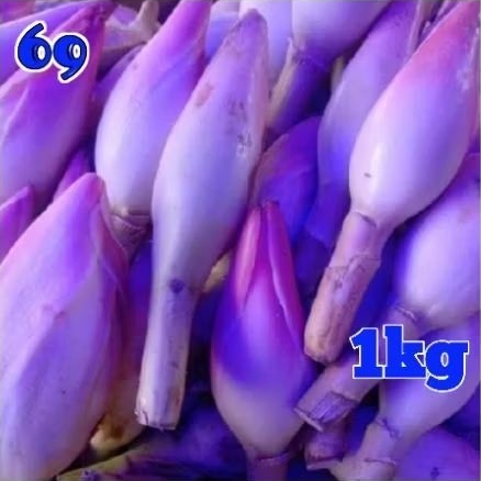 

Kecombrang/Honje 1kg Fresh segar