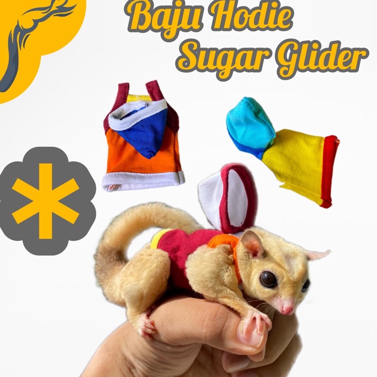Baju Sugar Glider Jantan Hodie Sugar Glider Hamster Jaket Sugar Glider Topi Sugar Glider Pakaian Sug