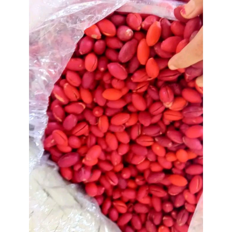 

KULIT MELINJO ( Tangkil ) Segar | 500 Gram