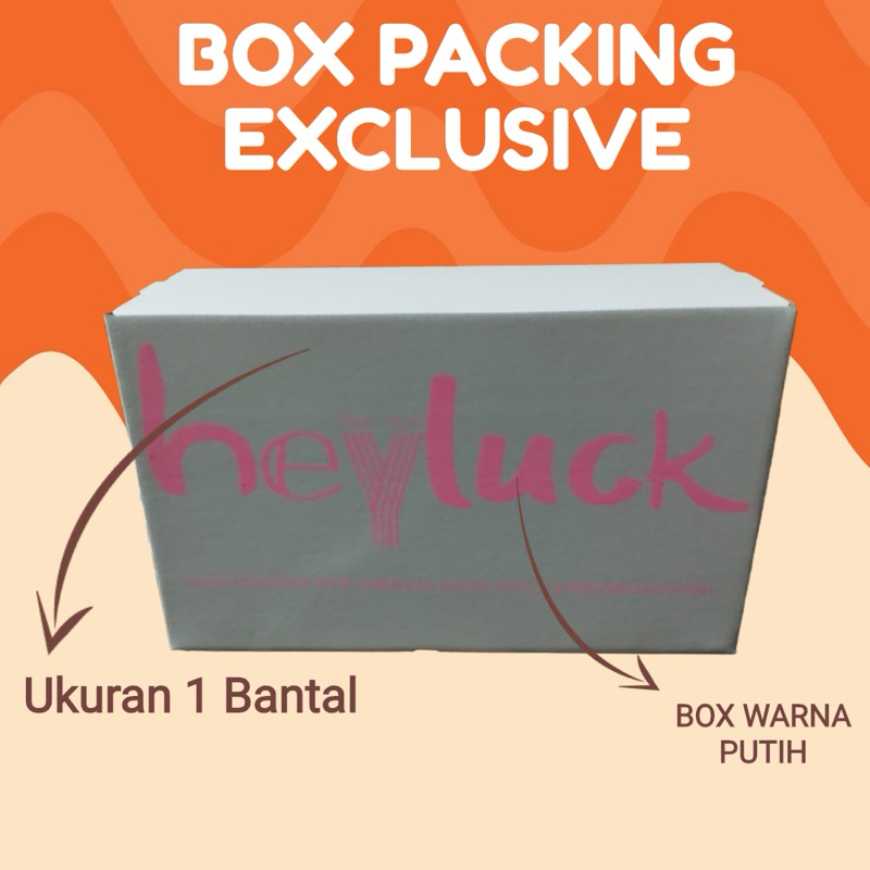 

KARDUS BOX PACKING EXCLUSIVE HEYLUCK MUAT 1 BANTAL