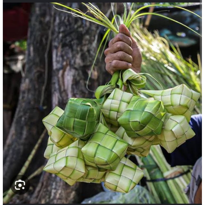

cangkang ketupat siap di isi beras kwalitas terbaik