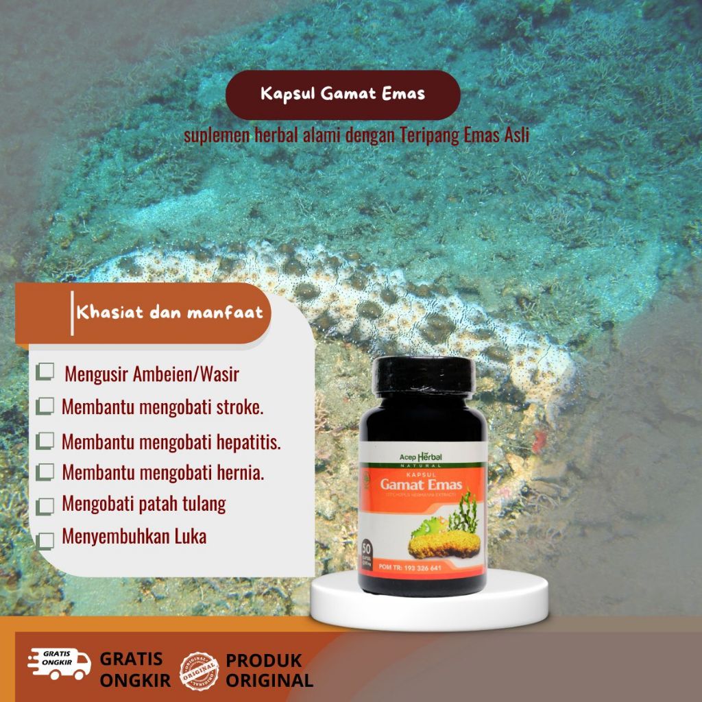 Kapsul Gamat Emas - Kapsul Ekstrak Teripang Asli