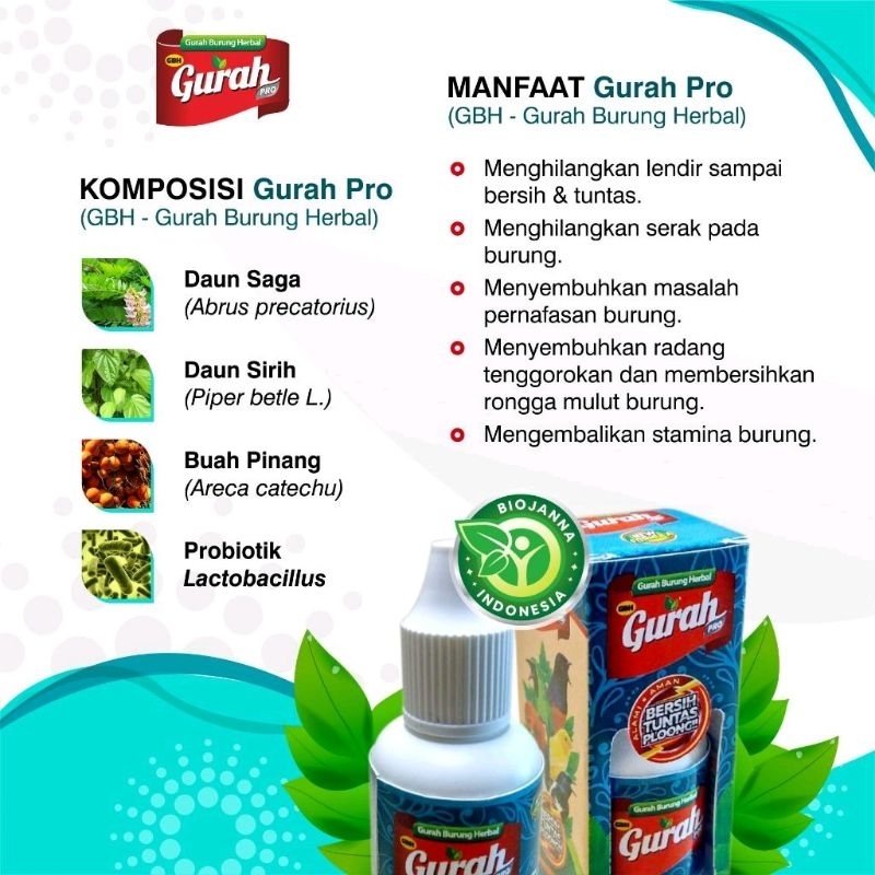 GURAH PRO GURAH BURUNG HERBAL ATASI PILEK DAN MASALAH PERNAPASAN BURUNG Perbotol