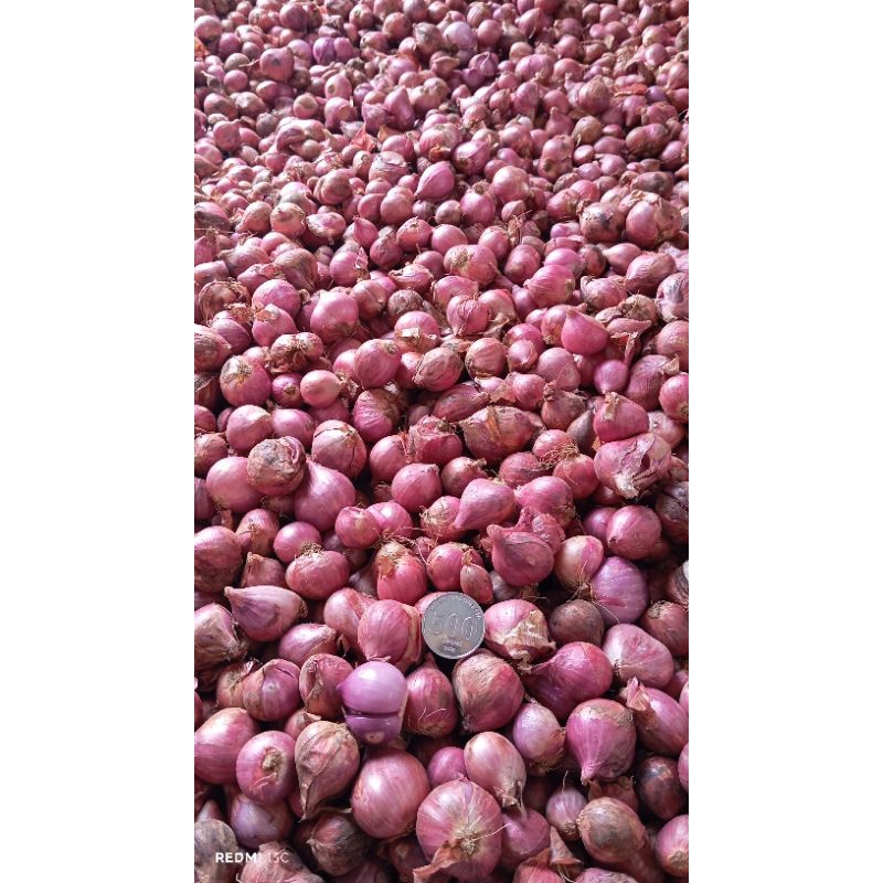 

Bawang Merah Super (1kg)